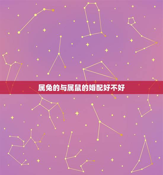 属兔的与属鼠的婚配好不好,男属兔女属鼠相配吗 详细�0�3 属兔的与属鼠的婚配好不好,男属兔女属鼠相配吗 详细�0�3