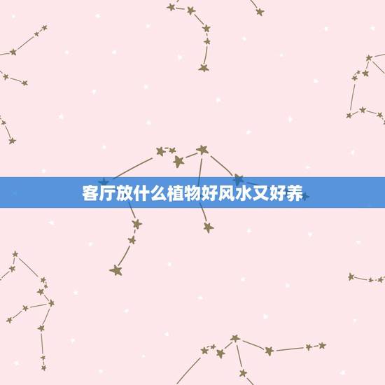 客厅放什么植物好风水又好养,客厅养什么植物最好 客厅植物风水大全 客厅放什么植物好风水又好养,客厅养什么植物最好 客厅植物风水大全