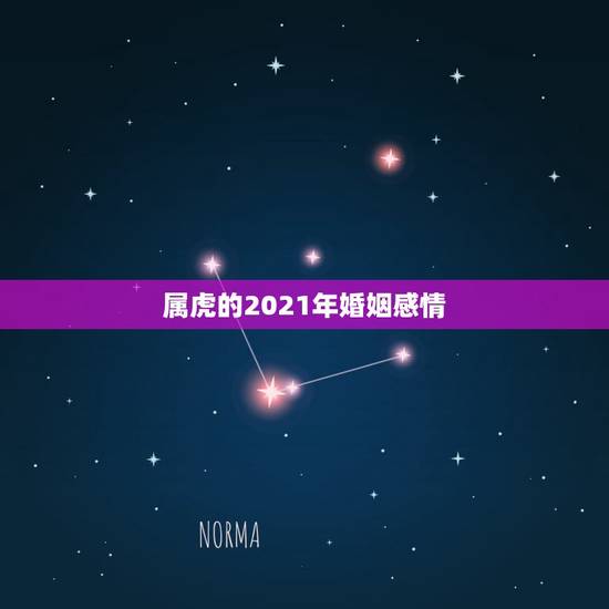 属虎的2021年婚姻感情,属虎的2021年婚姻感情 属虎的2021年婚姻感情,属虎的2021年婚姻感情