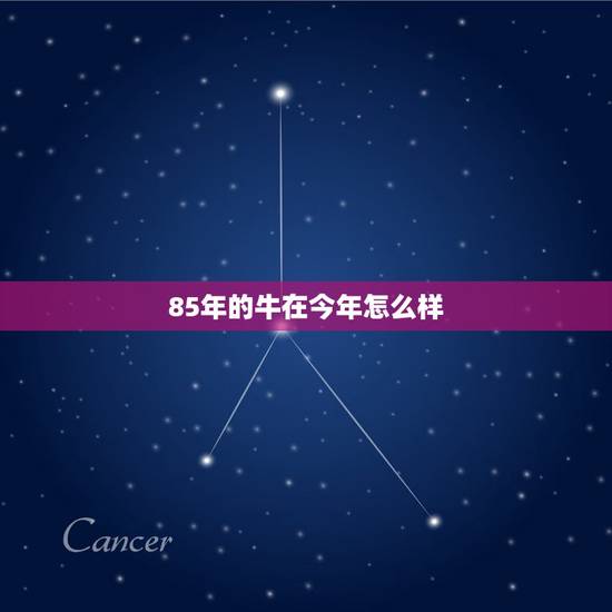 85年的牛在今年怎么样，1985年属牛今年财运怎么样？