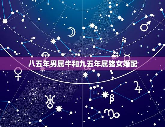 八五年男属牛和九五年属猪女婚配,八五年的,女,和九五年的男相配吗? 八五年男属牛和九五年属猪女婚配,八五年的,女,和九五年的男相配吗?
