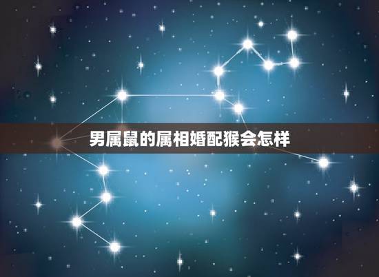 男属鼠的属相婚配猴会怎样,男鼠女猴,配么? 男属鼠的属相婚配猴会怎样,男鼠女猴,配么?