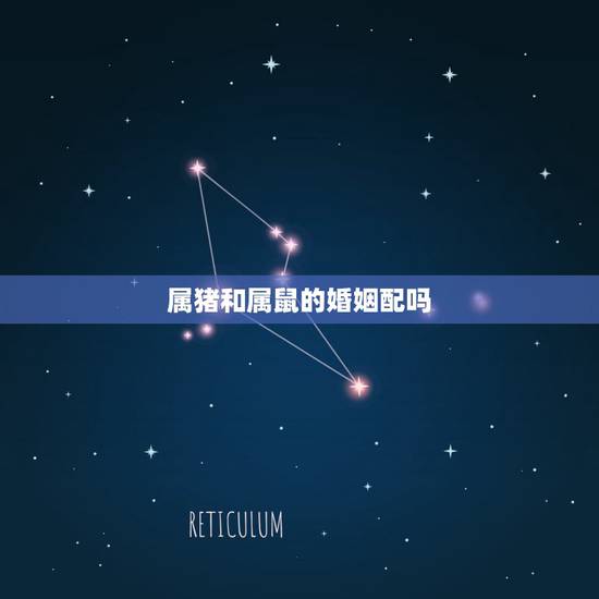 属猪和属鼠的婚姻配吗,属鼠和属猪的相配吗 属猪和属鼠的婚姻配吗,属鼠和属猪的相配吗