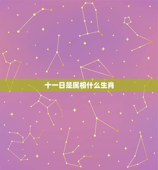 十一日是属相什么生肖,生肖相冲表 十一日是属相什么生肖,生肖相冲表