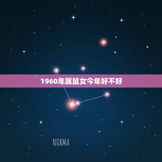 1960年属鼠女今年好不好,1963年属什么生肖 1960年属鼠女今年好不好,1963年属什么生肖