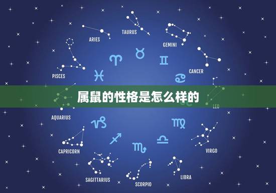 属鼠的性格是怎么样的，属鼠的属于什么类型的人