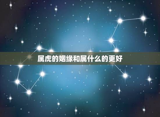 属虎的姻缘和属什么的更好,属老鼠和属虎的好不好 属虎的姻缘和属什么的更好,属老鼠和属虎的好不好