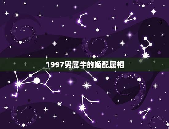 1997男属牛的婚配属相,1997年出生的孩子婚配1997年的孩子命里 1997男属牛的婚配属相,1997年出生的孩子婚配1997年的孩子命里