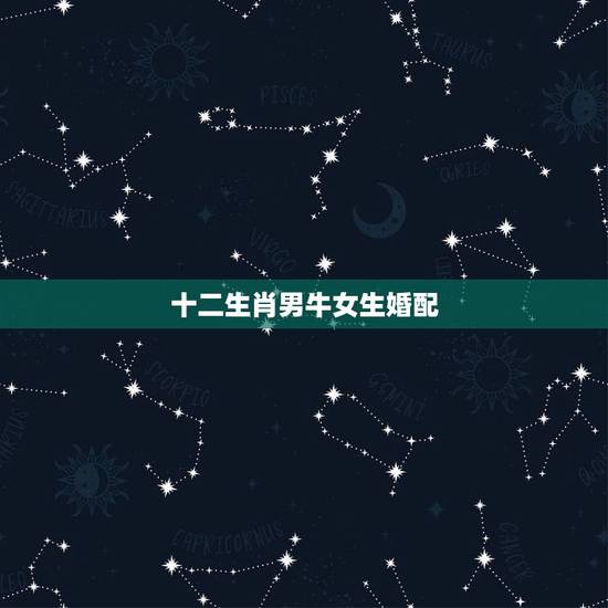 十二生肖男牛女生婚配，属牛女配什么属相