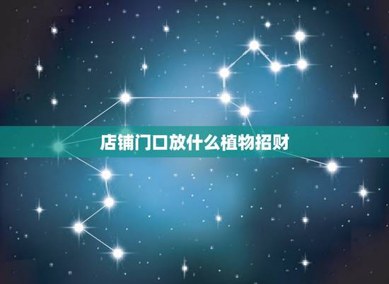 店铺门口放什么植物招财,一般店里摆放哪些盆栽可以聚财 店铺门口放什么植物招财,一般店里摆放哪些盆栽可以聚财