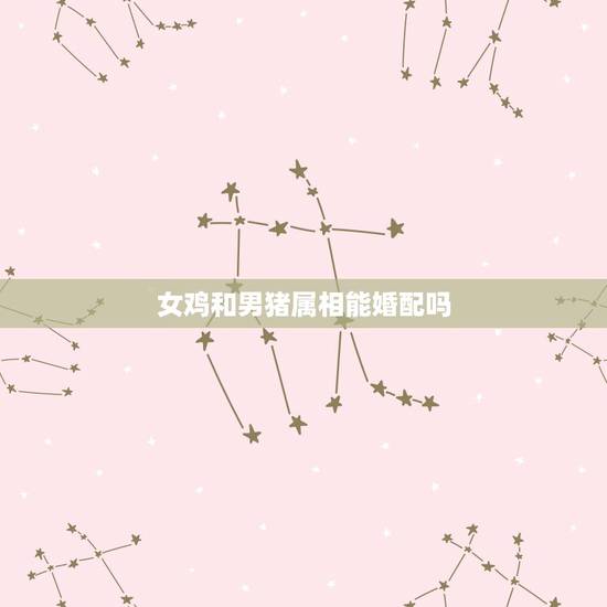 女鸡和男猪属相能婚配吗,属猪男和属鸡女婚配好吗? 女鸡和男猪属相能婚配吗,属猪男和属鸡女婚配好吗?