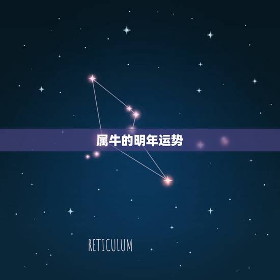 属牛的明年运势，属牛人今年运势？