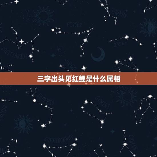 三字出头见红鲤是什么属相，今期出头旺三三，三字出头见红鲤