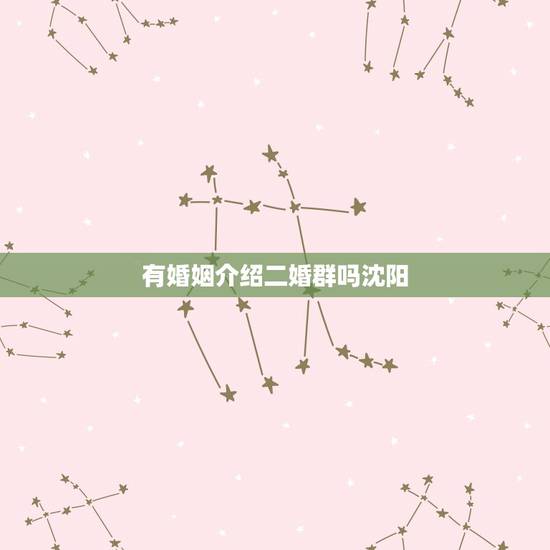 有婚姻介绍二婚群吗沈阳，沈阳有涉外婚姻介绍所吗？