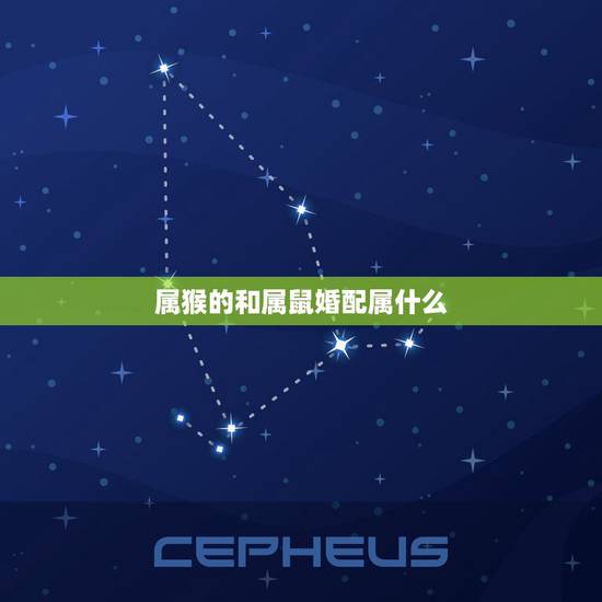 属猴的和属鼠婚配属什么，属猴的和属鼠的婚姻相配吗