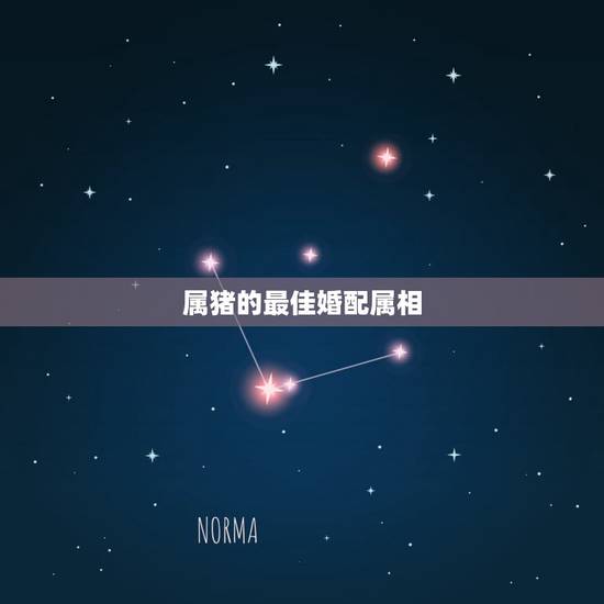 属猪的最佳婚配属相,男属猪的五月出生最好找什么属相的对象 属猪的最佳婚配属相,男属猪的五月出生最好找什么属相的对象