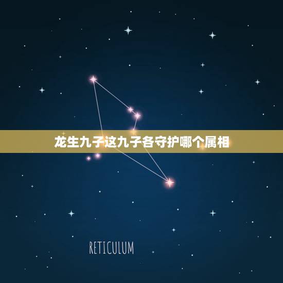 龙生九子这九子各守护哪个属相，龙生九子是什么生肖谢谢