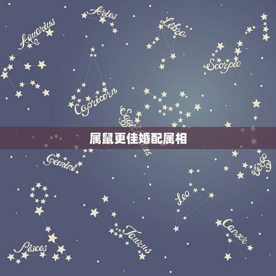 属鼠更佳婚配属相,1996年属鼠几月命好 属鼠更佳婚配属相,1996年属鼠几月命好