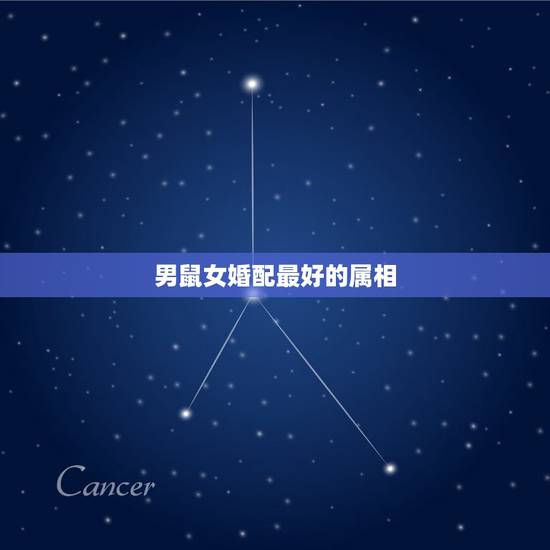 男鼠女婚配最好的属相，男属鼠和什么生肖最配