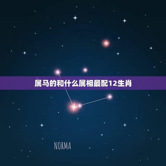 属马的和什么属相最配12生肖，属马的和什么属相最相配 12属相婚配表