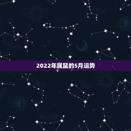 2022年属鼠的5月运势，属鼠2022年运势及运程