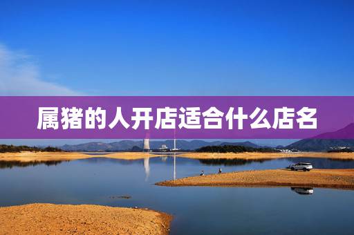 属猪的人开店适合什么店名，属猪的人做烧烤什么店名合适