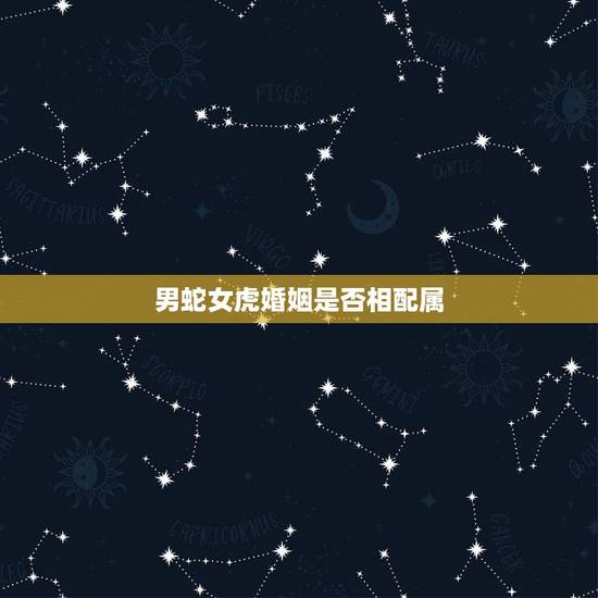 男蛇女虎婚姻是否相配属,男蛇女虎能结婚在一起吗? 男蛇女虎婚姻是否相配属,男蛇女虎能结婚在一起吗?