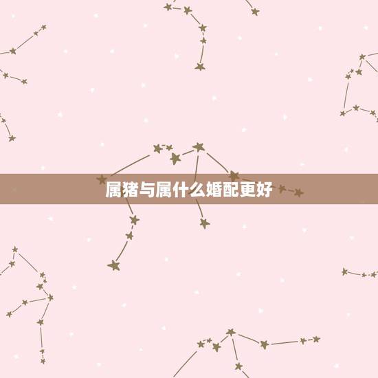 属猪与属什么婚配更好,猪和什么生肖更好 属猪与属什么婚配更好,猪和什么生肖更好