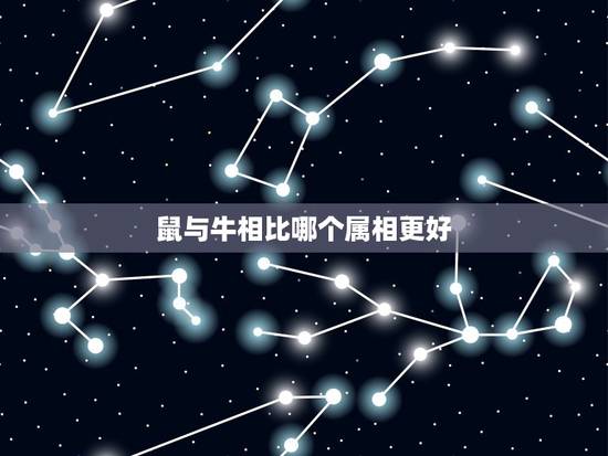 鼠与牛相比哪个属相更好,为什么十二生肖老鼠排在牛前面呢? 鼠与牛相比哪个属相更好,为什么十二生肖老鼠排在牛前面呢?