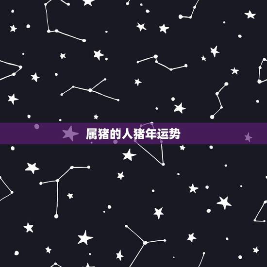属猪的人猪年运势，2011年属猪的运程