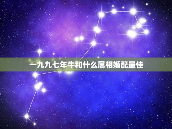 一九九七年牛和什么属相婚配最佳,属牛的和什么属相最配 属牛的属相婚配表 一九九七年牛和什么属相婚配最佳,属牛的和什么属相最配 属牛的属相婚配表