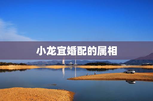 小龙宜婚配的属相，生肖中的”小龙“：男女都属蛇相配吗