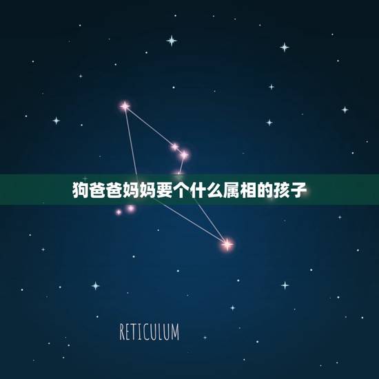 狗爸爸妈妈要个什么属相的孩子,父亲属狗,母亲属牛,孩子什么属相好 狗爸爸妈妈要个什么属相的孩子,父亲属狗,母亲属牛,孩子什么属相好
