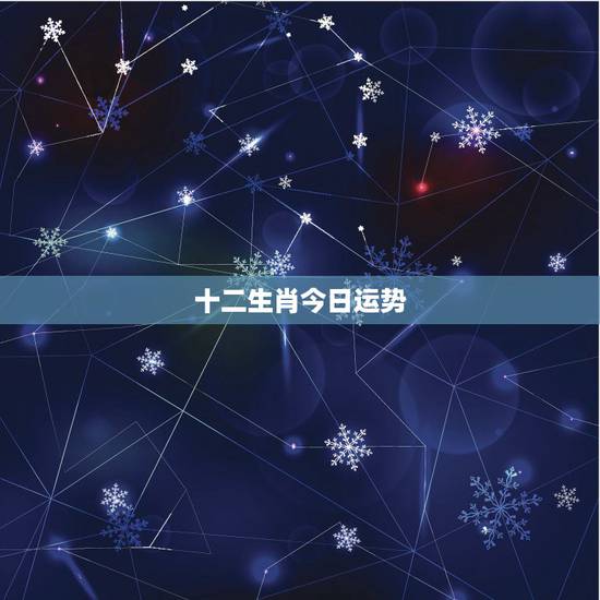 十二生肖今日运势，12生肖2018年运势