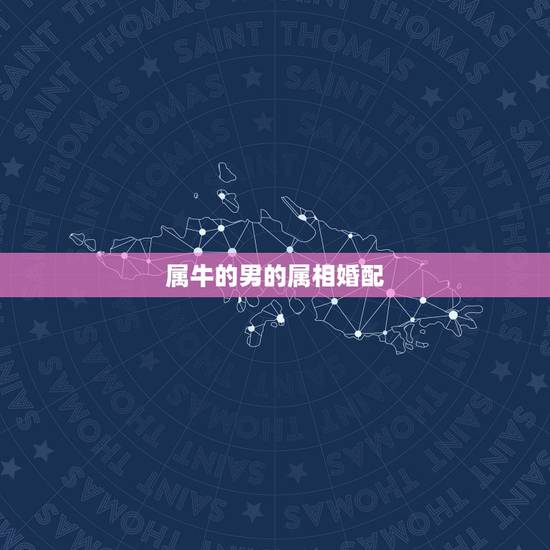 属牛的男的属相婚配,属牛男和什么属相婚配克夫 属牛的男的属相婚配,属牛男和什么属相婚配克夫