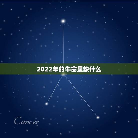 2022年的牛命里缺什么，85年属牛未来10年运势