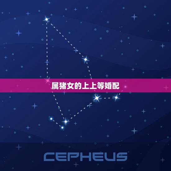 属猪女的上上等婚配，属猪男和属猪女婚配如何？