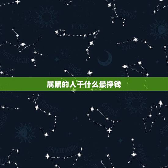 属鼠的人干什么最挣钱,做生意什么属相合财 属鼠的人干什么最挣钱,做生意什么属相合财