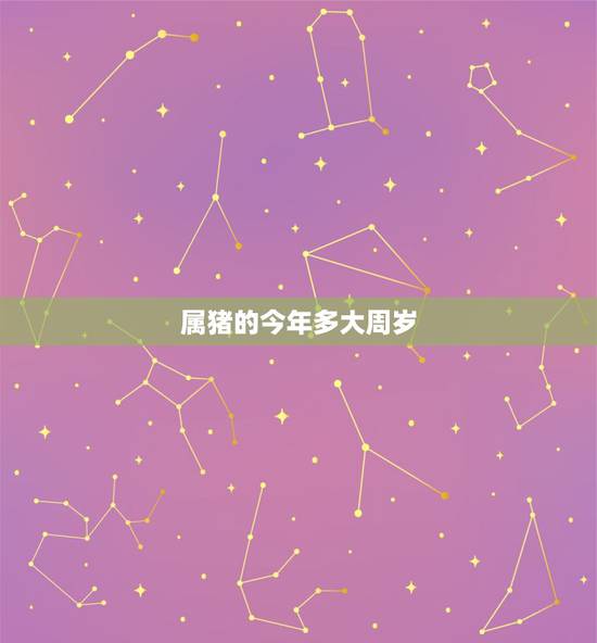 属猪的今年多大周岁，47年属猪的人今年多大