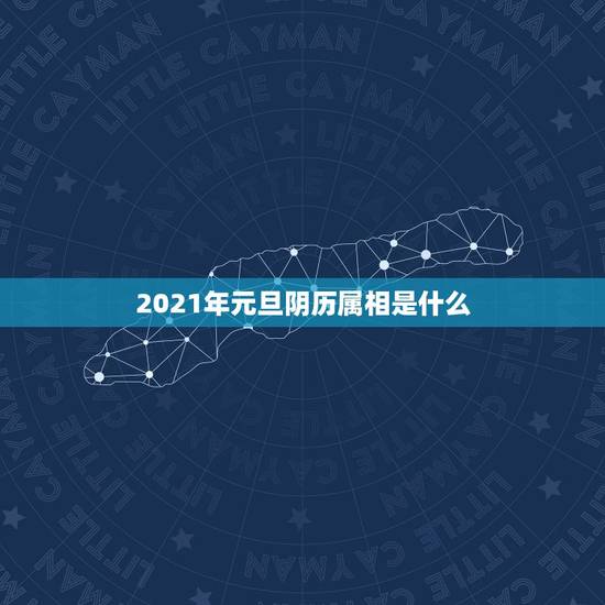 2021年元旦阴历属相是什么，2021年农历一月初四属相是什么？
