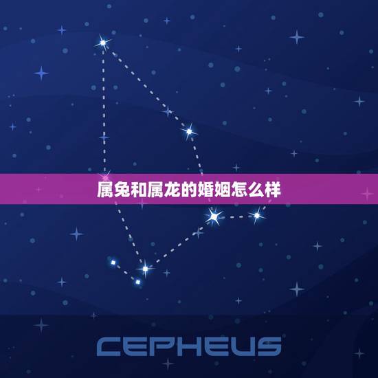 属兔和属龙的婚姻怎么样，女属兔男属龙婚姻状况