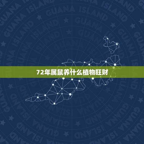 72年属鼠养什么植物旺财,属鼠女适合养什么花 72年属鼠养什么植物旺财,属鼠女适合养什么花