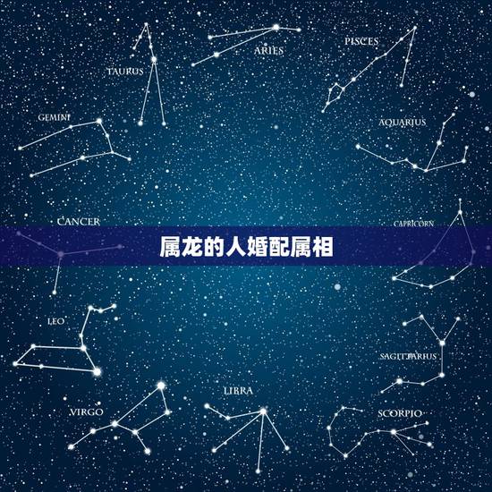 属龙的人婚配属相，00年属龙的属相婚配表