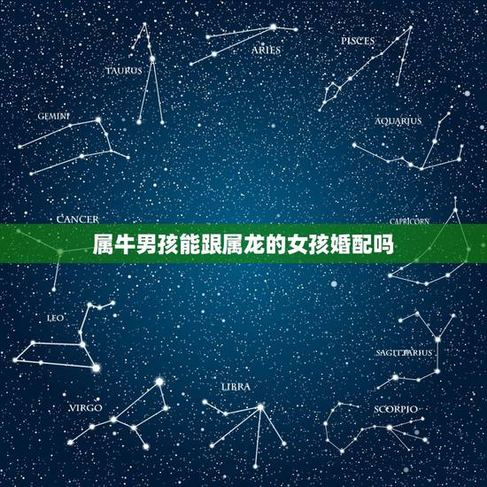 属牛男孩能跟属龙的女孩婚配吗,26岁属牛的男孩和23岁属龙的女孩婚配吗 属牛男孩能跟属龙的女孩婚配吗,26岁属牛的男孩和23岁属龙的女孩婚配吗