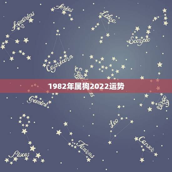1982年属狗2022运势，1982年属狗运势