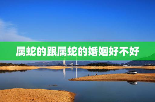 属蛇的跟属蛇的婚姻好不好,属蛇的过了33岁就顺了 属蛇的跟属蛇的婚姻好不好,属蛇的过了33岁就顺了