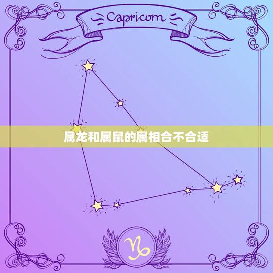 属龙和属鼠的属相合不合适,属龙和属鼠相配吗 属龙和属鼠的属相合不合适,属龙和属鼠相配吗
