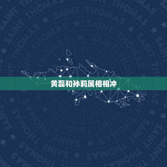 黄磊和孙莉属相相冲，黄磊与孙莉是怎么在一起的？他们结婚多少年了？