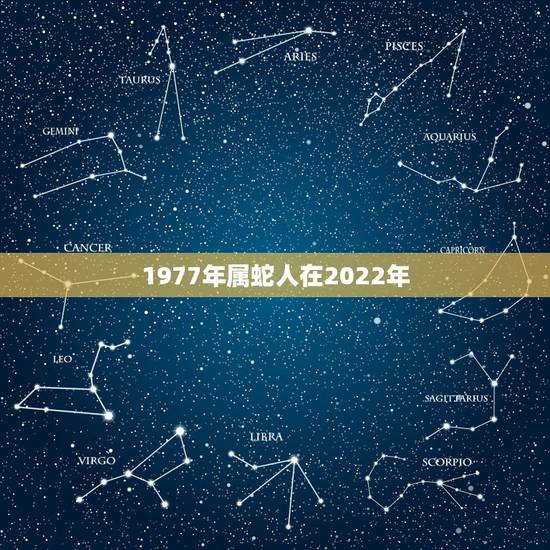 1977年属蛇人在2022年,77年属蛇2021年婚姻最终归宿 1977年属蛇人在2022年,77年属蛇2021年婚姻最终归宿