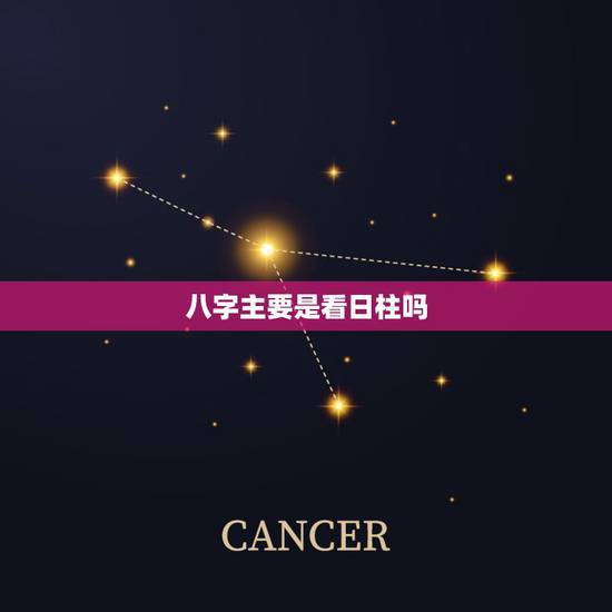 八字主要是看日柱吗，八字合婚主要看什么 看日柱